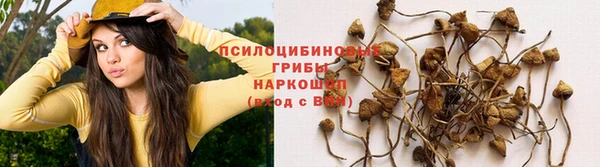 соль ск Алзамай
