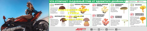 дмт Алексин