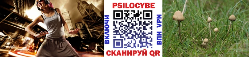 Галлюциногенные грибы мицелий OMG как зайти Починок